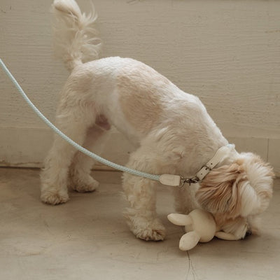 【予約】Rope leash classic - 1.8m（ソーダ）
