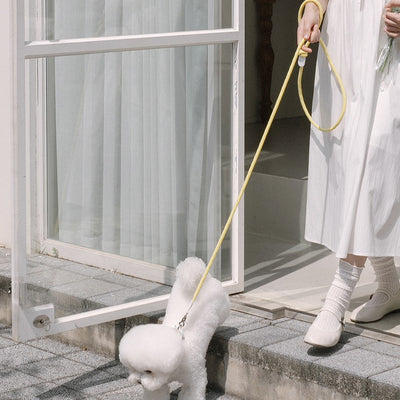 【予約】Rope leash classic - 1.8m（レモン）