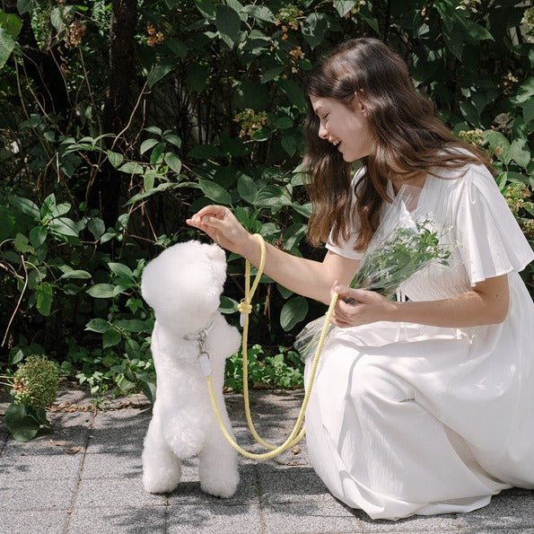 【予約】Rope collar（レモン）