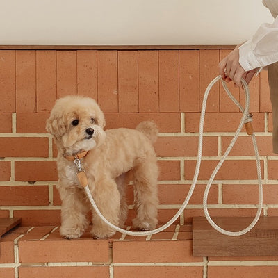 【予約】Rope leash classic - 1.8m（オートミール）
