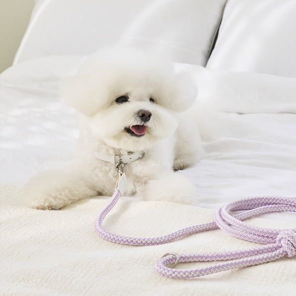 【即納】Rope leash classic - 1.8m（ライラック）