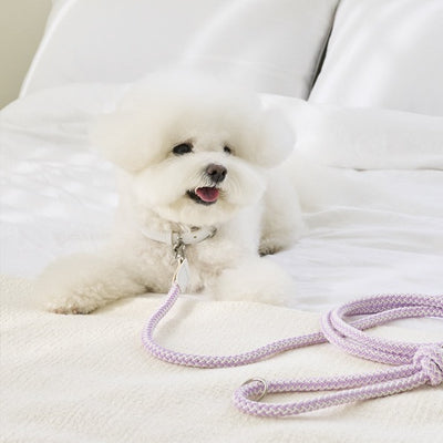 【即納】Rope leash classic - 1.8m（ライラック）