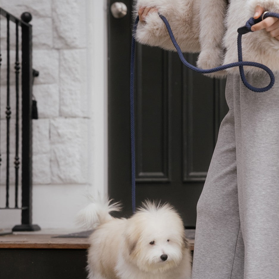 【予約】Rope collar（ネイビー）