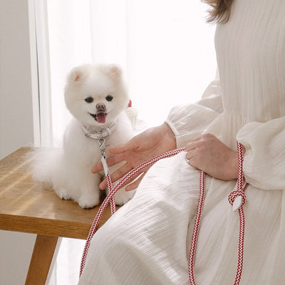 【予約】Rope leash classic - 1.8m（レッドベルベット）