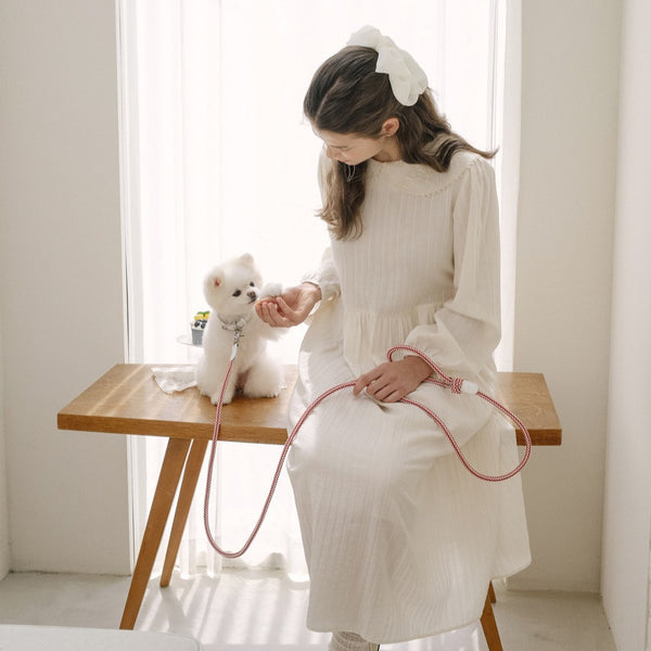 【予約】Rope leash classic - 1.8m（レッドベルベット）