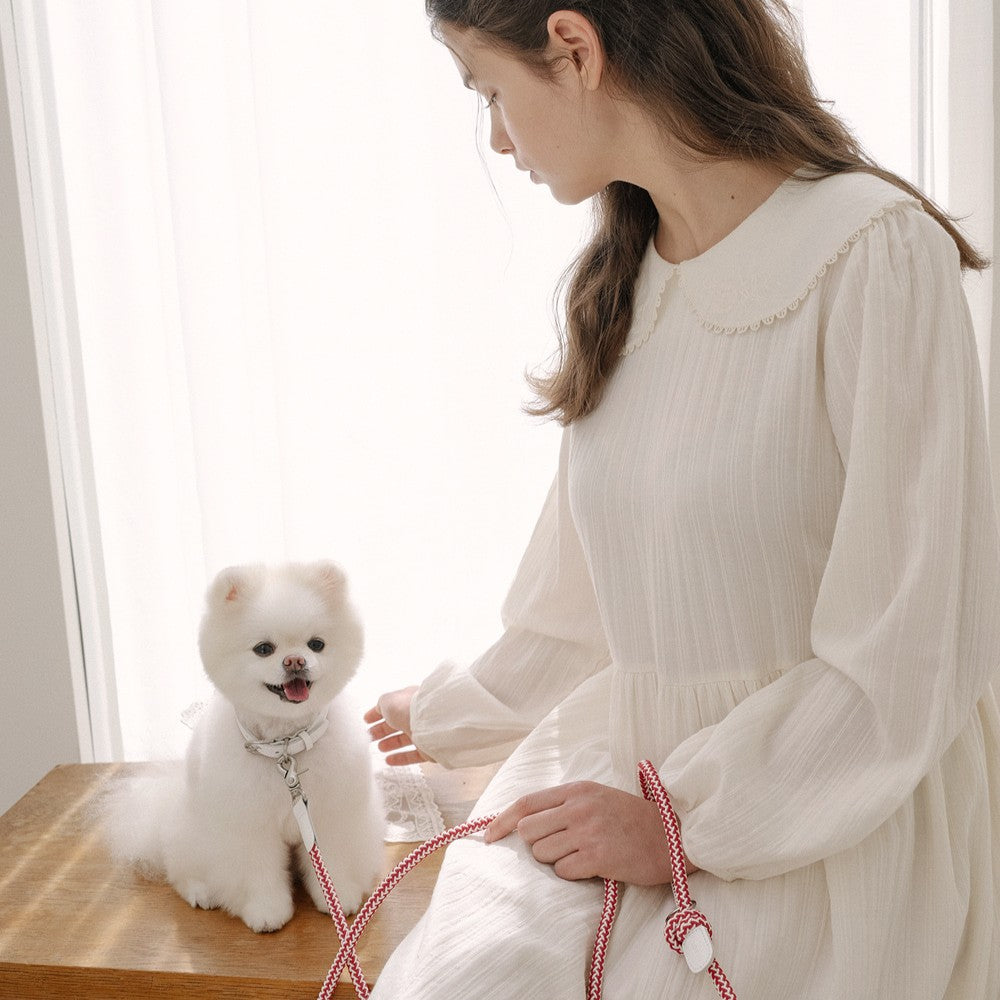 【予約】Rope leash classic - 1.8m（レッドベルベット）