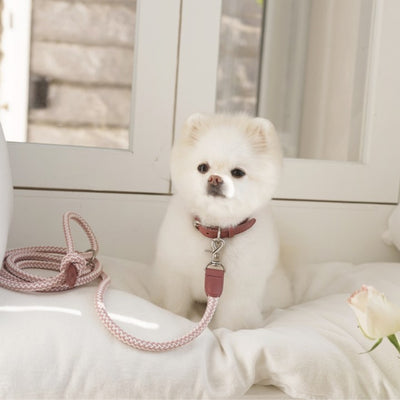 【予約】Rope leash classic - 1.8m（ヴィンテージローズ）