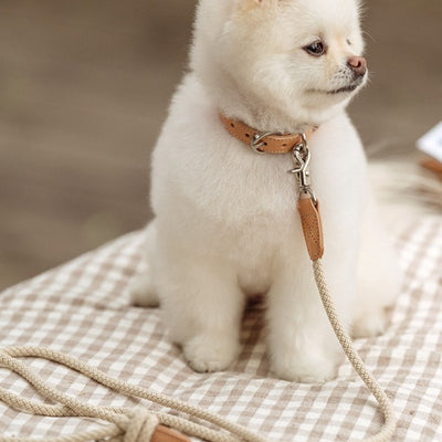 【予約】Slim leash（ベージュ） - 1.8m