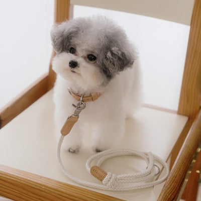 【予約】Slim leash（オートミール） - 1.8m