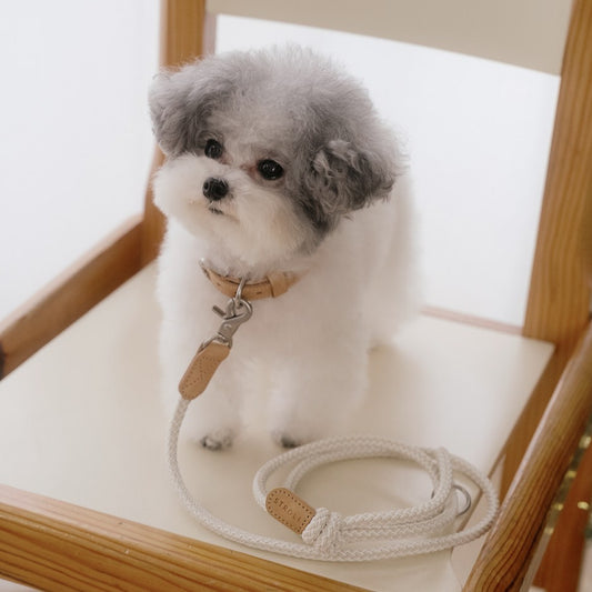 【予約】Slim leash（オートミール） - 1.8m