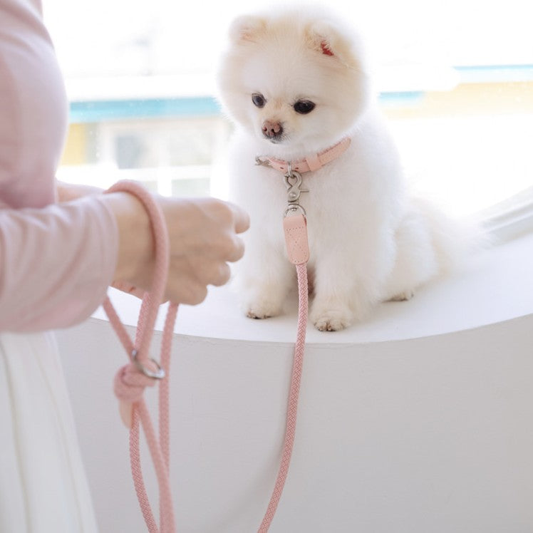 【予約】Slim leash（ピンク） - 1.8m