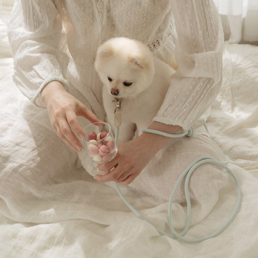 【予約】Slim leash（ソーダ） - 1.8m