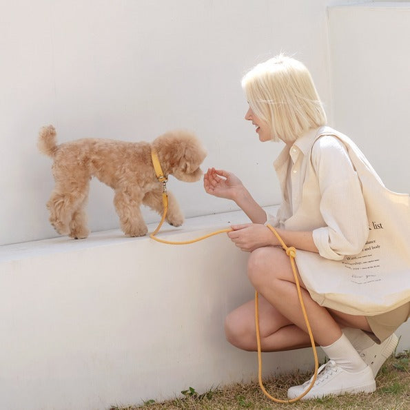 【即納】Slim leash（バナナ） - 1.8m