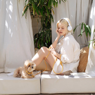 【即納】Slim leash（バナナ） - 1.8m