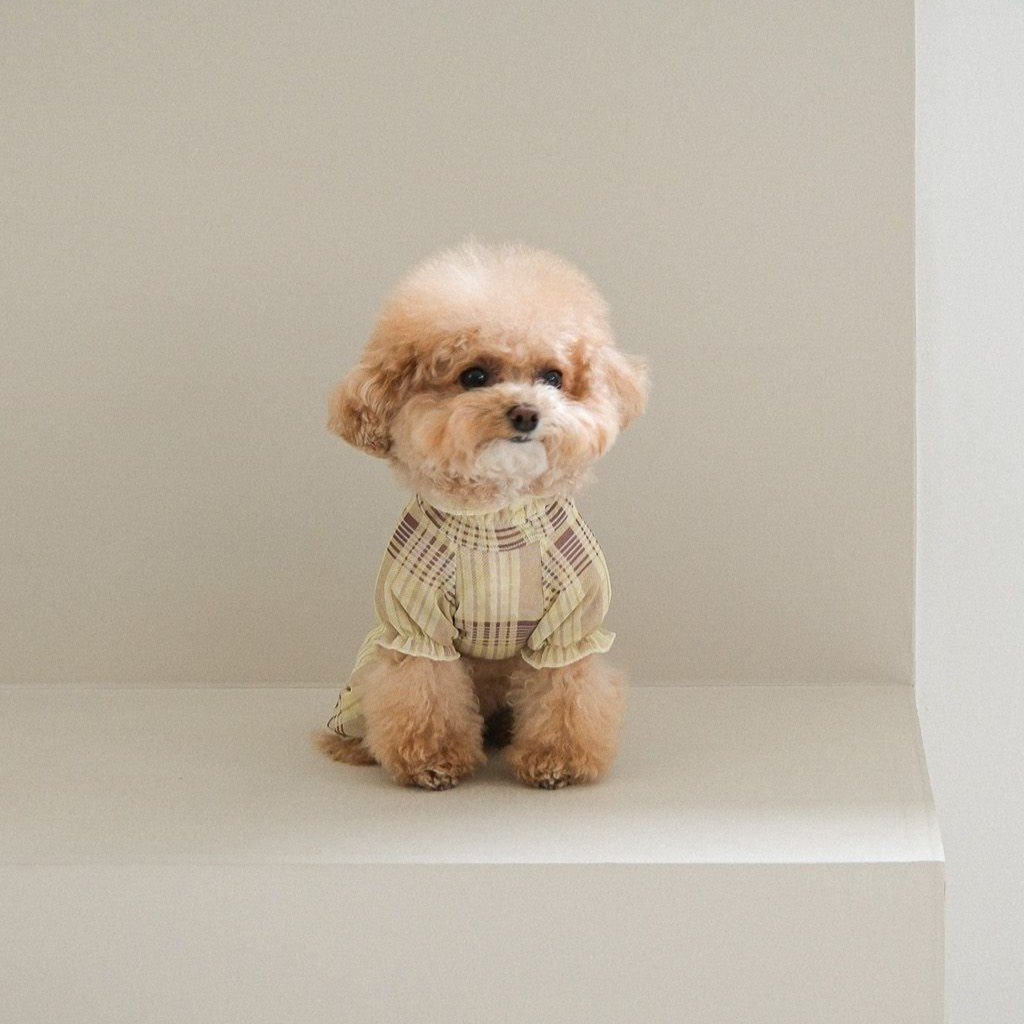 【予約】Breeze check all-in-one