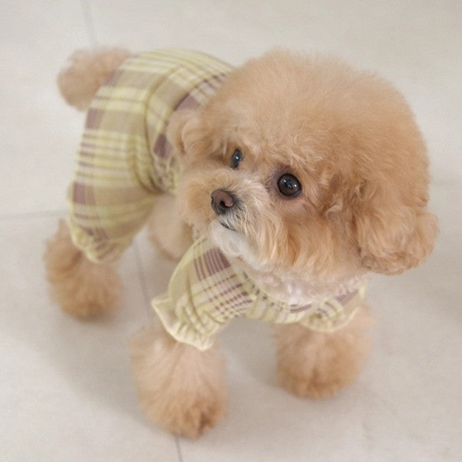 【予約】Breeze check all-in-one