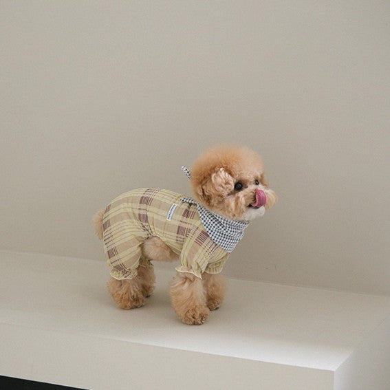 【予約】Breeze check all-in-one