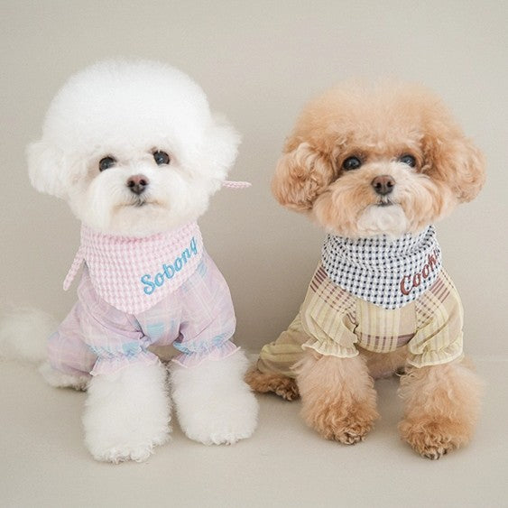 【予約】Breeze check all-in-one