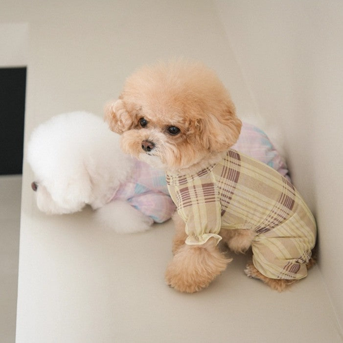 【予約】Breeze check all-in-one