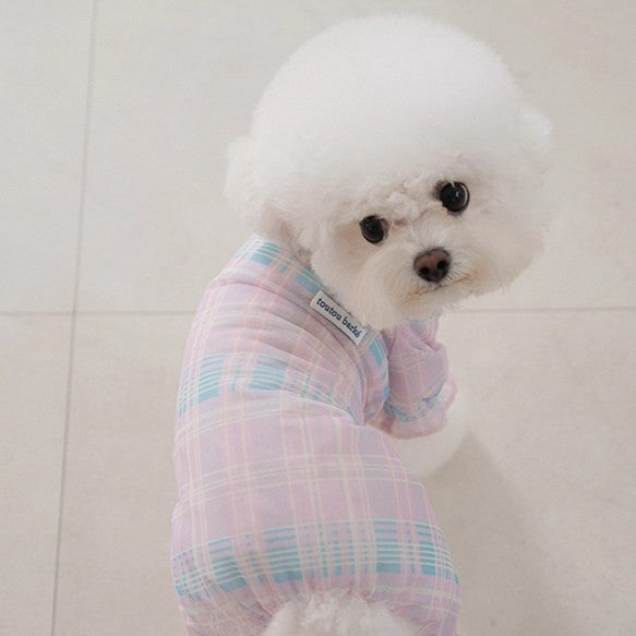 【予約】Breeze check all-in-one