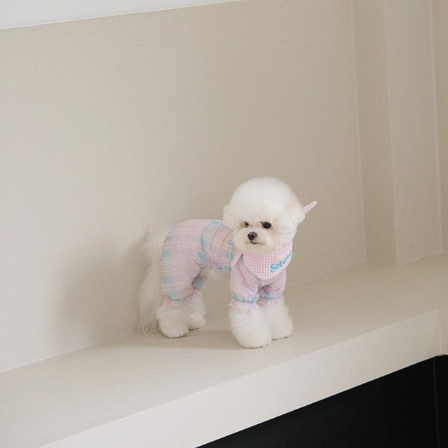 【予約】Breeze check all-in-one