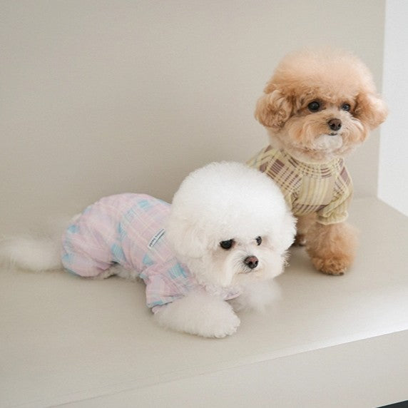 【予約】Breeze check all-in-one