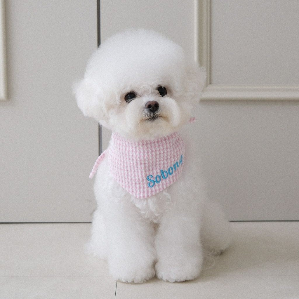 【予約】Checkpop Naming Scarf（ネーム刺繍可）