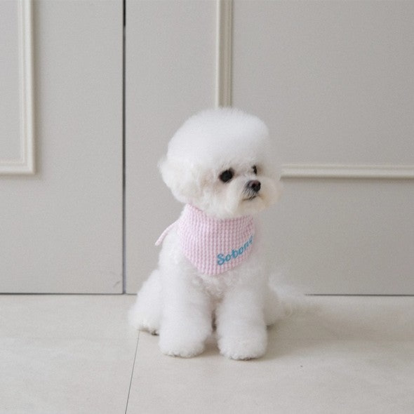 【予約】Checkpop Naming Scarf（ネーム刺繍可）