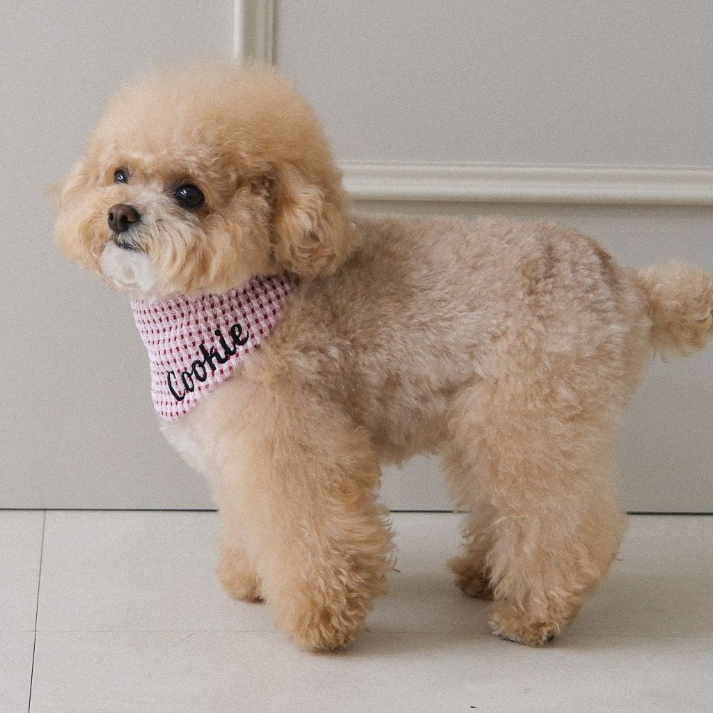 【予約】Checkpop Naming Scarf（ネーム刺繍可）