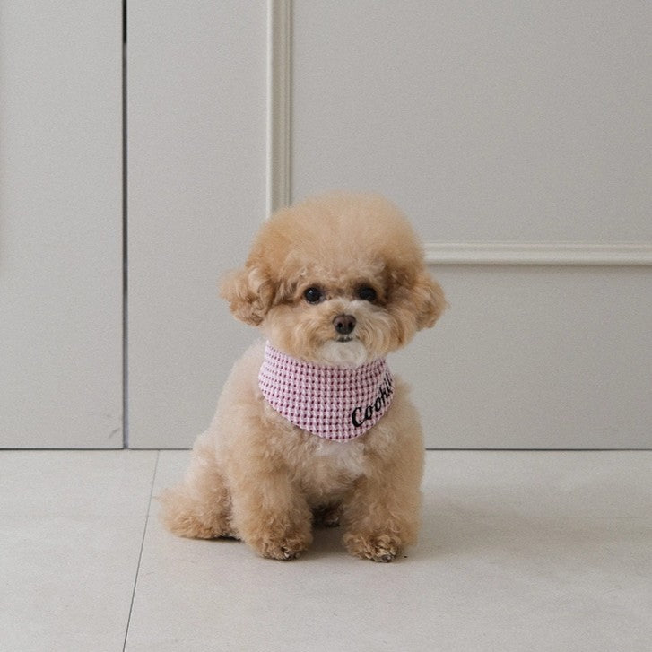 【予約】Checkpop Naming Scarf（ネーム刺繍可）