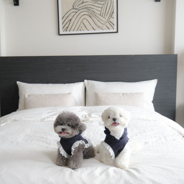 【予約】ディアベアフード付きポンチョ