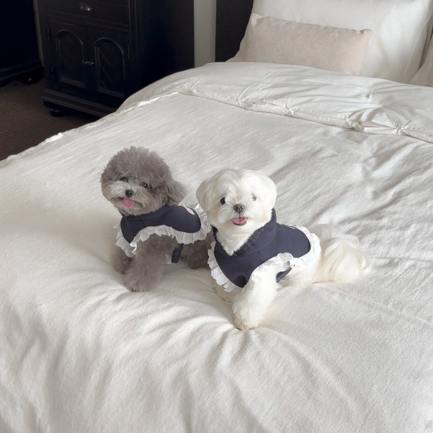 【予約】ディアベアフード付きポンチョ