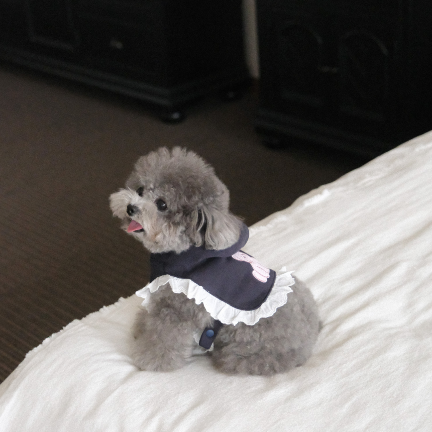 【予約】ディアベアフード付きポンチョ