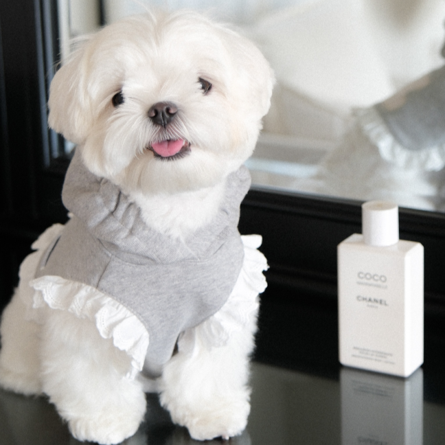 【予約】ディアベアフード付きポンチョ