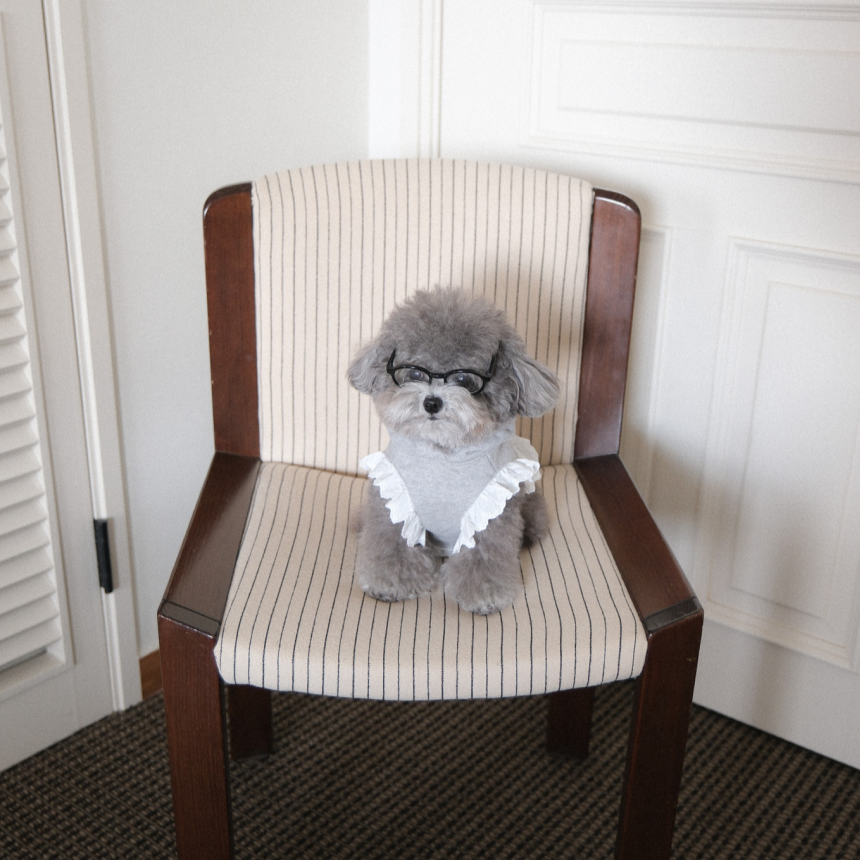 【予約】ディアベアフード付きポンチョ