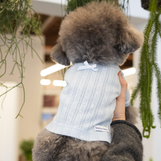 【予約】Dot Eyelet T