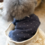 【一部即納】Dot Eyelet T