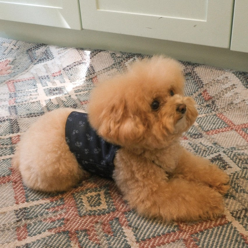 【予約】Floral Crop Sleeveless