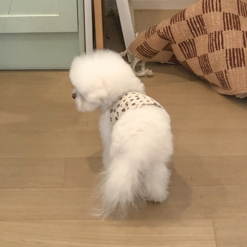 【予約】Floral Crop Sleeveless