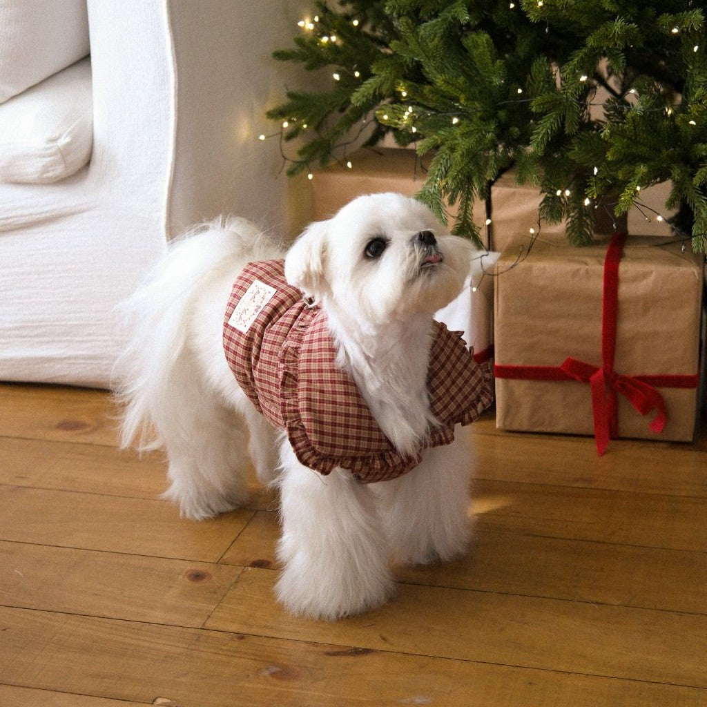 【予約】Check Frill Padding