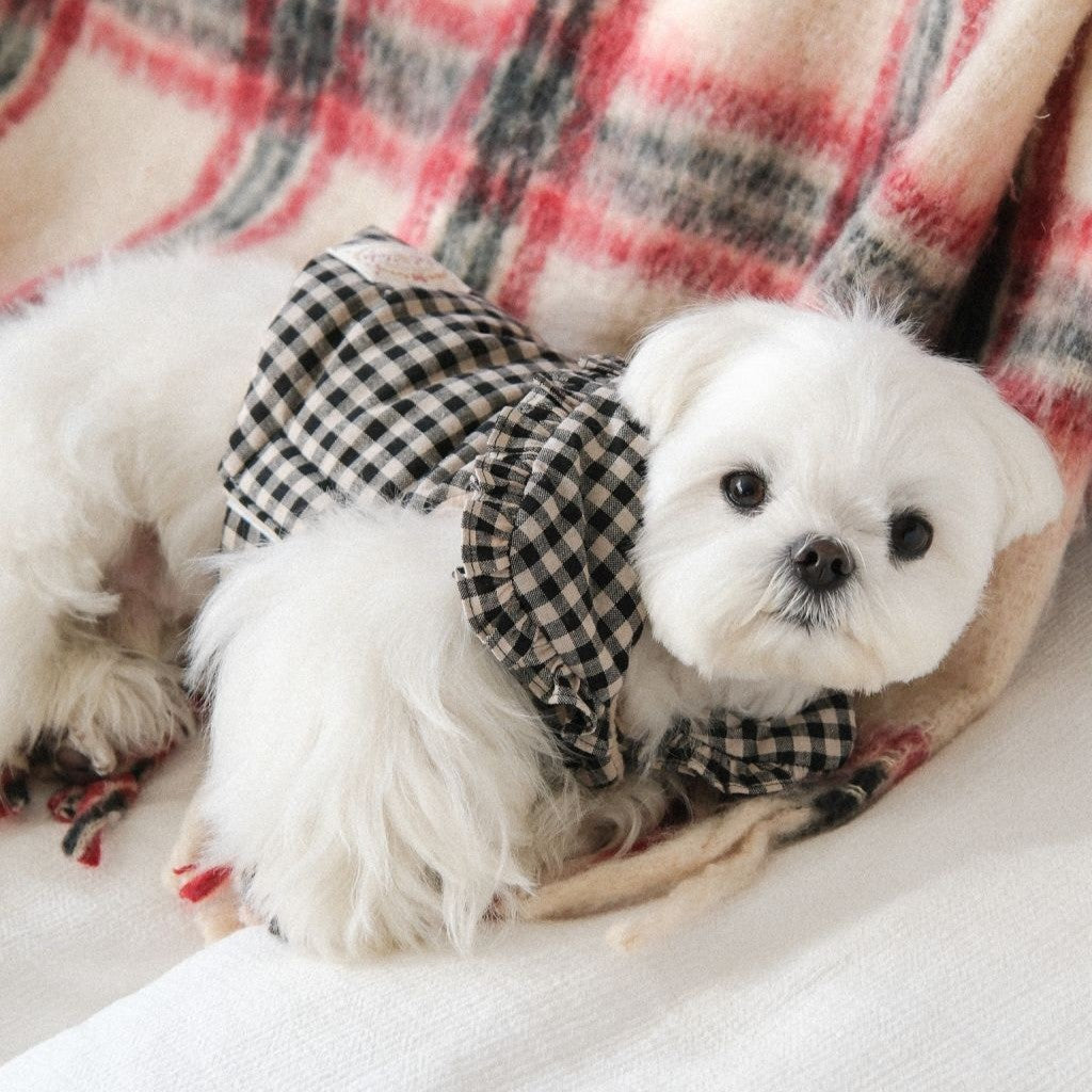 【予約】Check Frill Padding