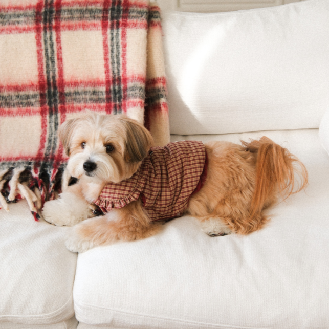 【予約】Check Frill Padding