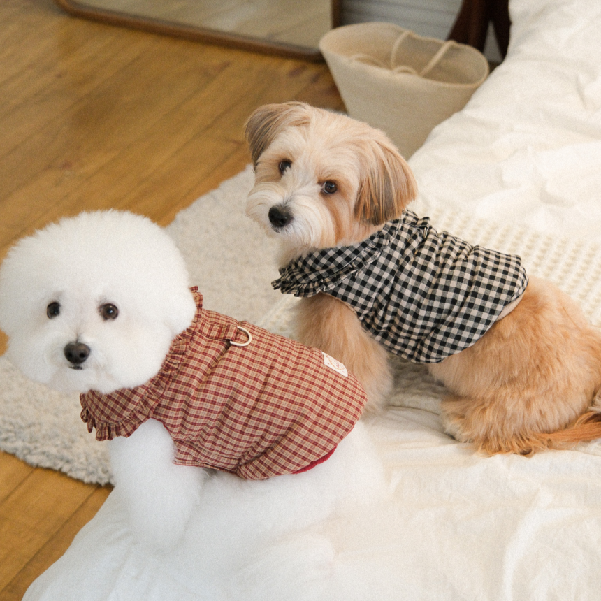 【予約】Check Frill Padding