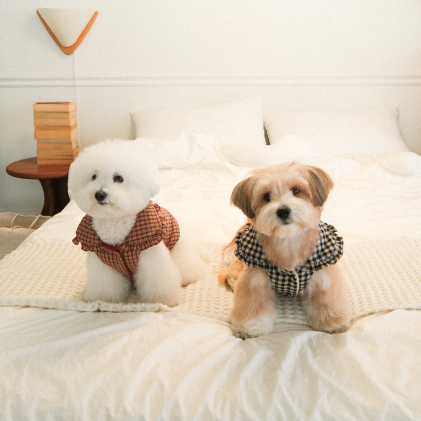 【予約】Check Frill Padding