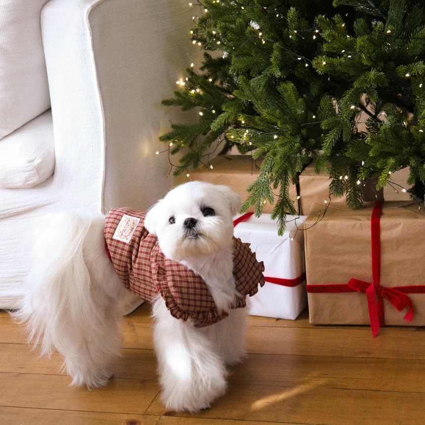 【予約】Check Frill Padding