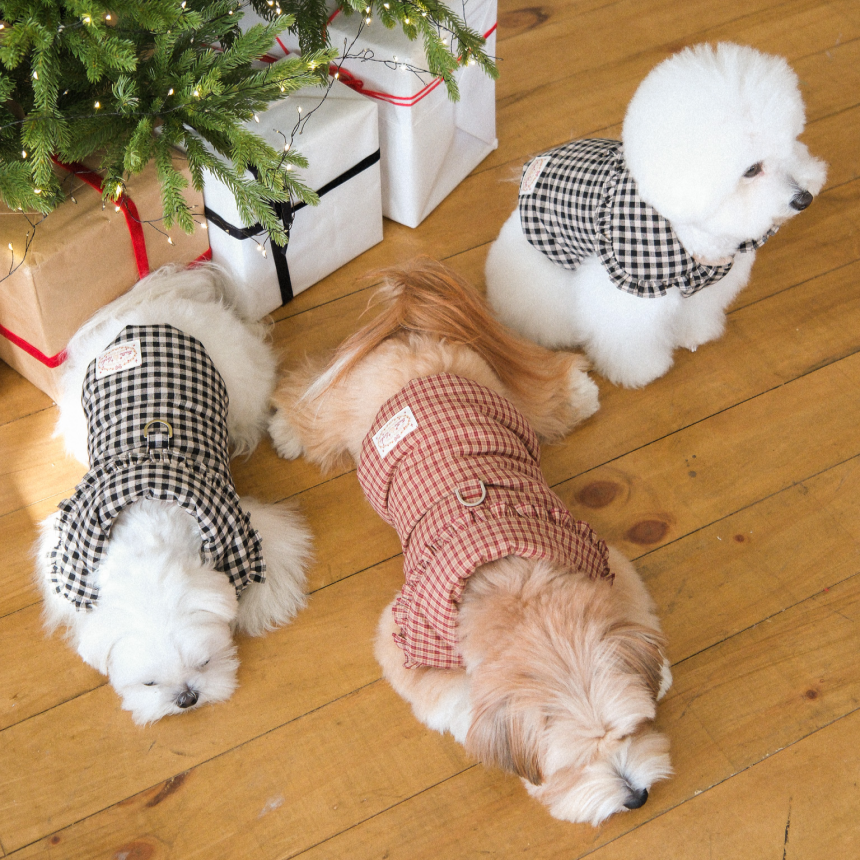 【予約】Check Frill Padding