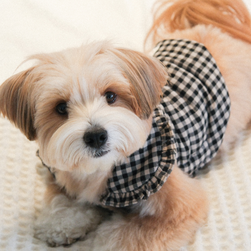 【予約】Check Frill Padding