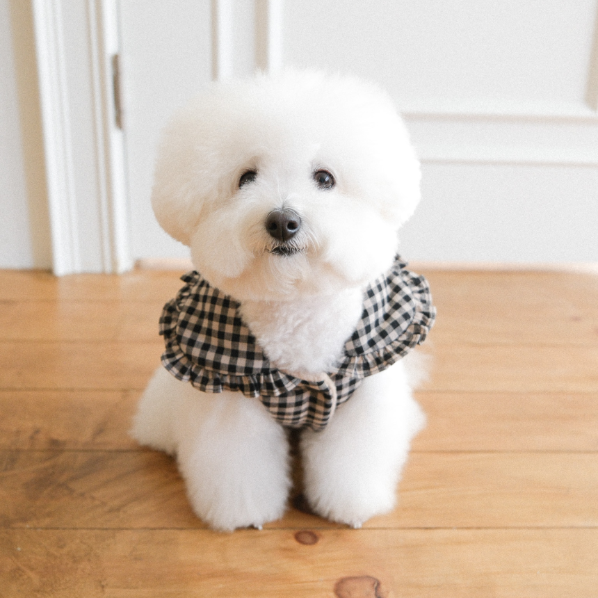 【予約】Check Frill Padding