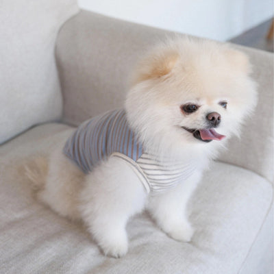 【予約】Half Stripe Tee