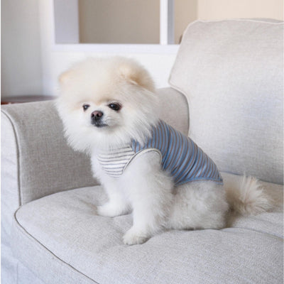 【予約】Half Stripe Tee